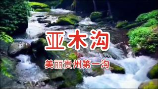 救援瓢虫宝宝