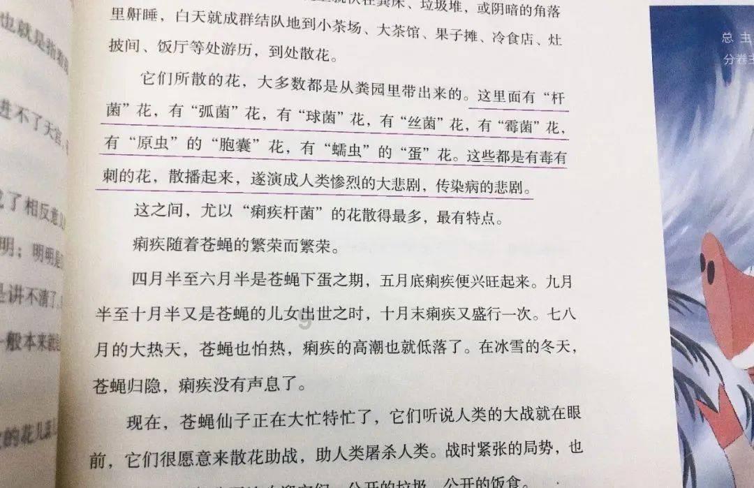 这是青金石吗？