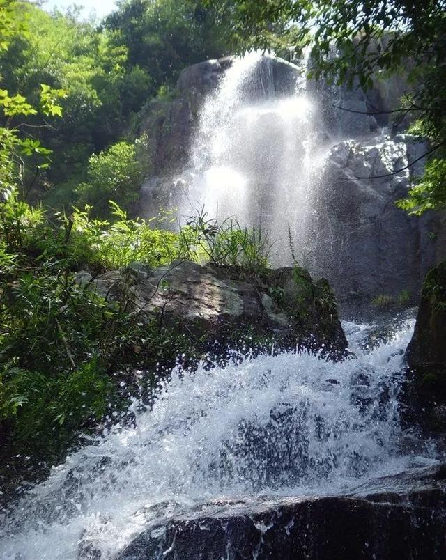 大丛林度假村逃生