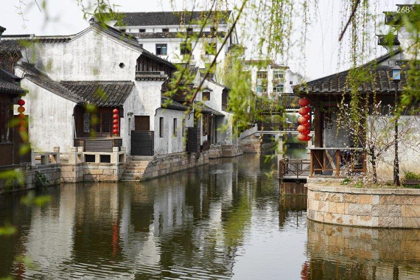 顶级寿司店