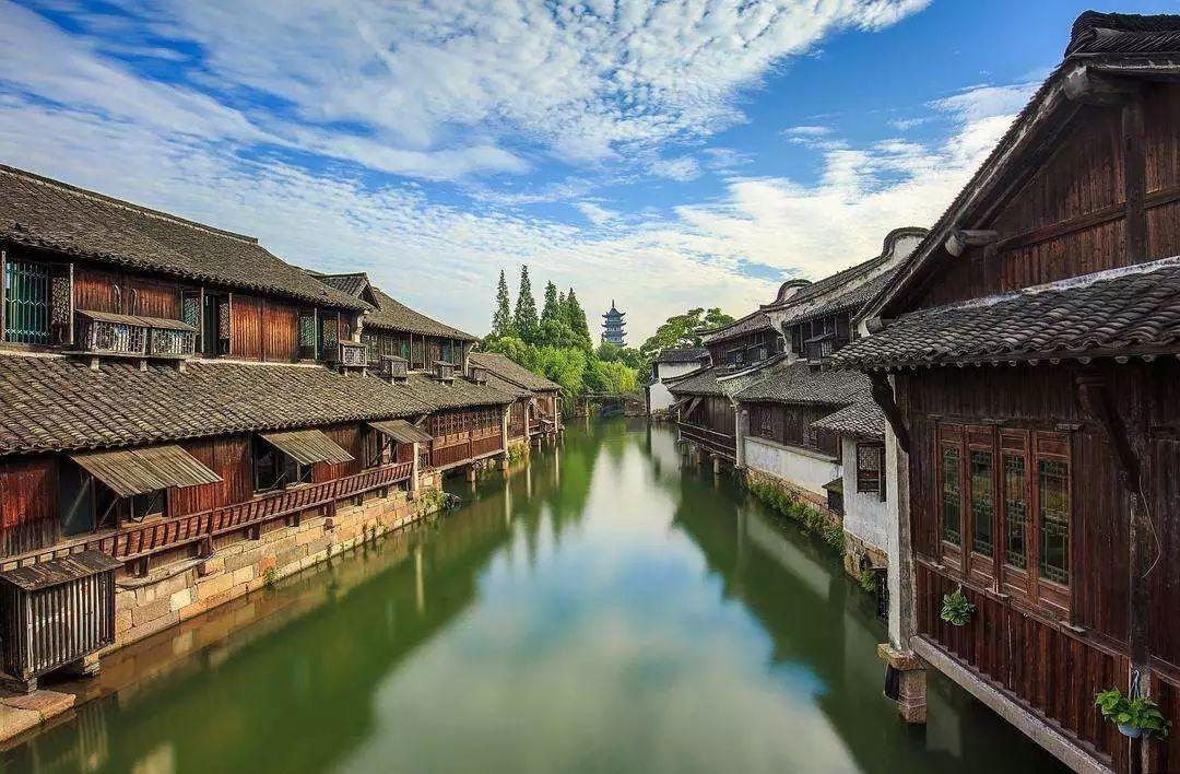 红色鹦鹉逃脱